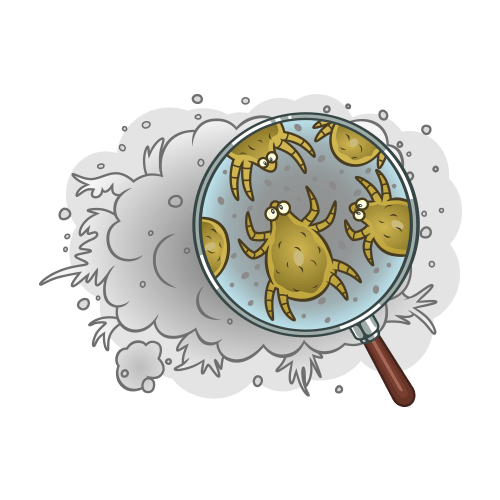 dust-mite-1.png